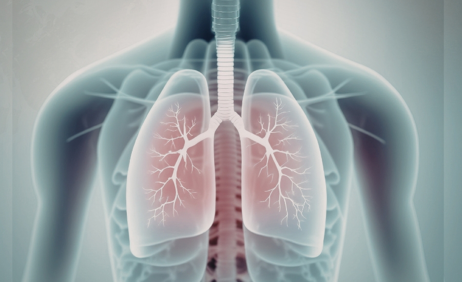 Respiratory Wellness